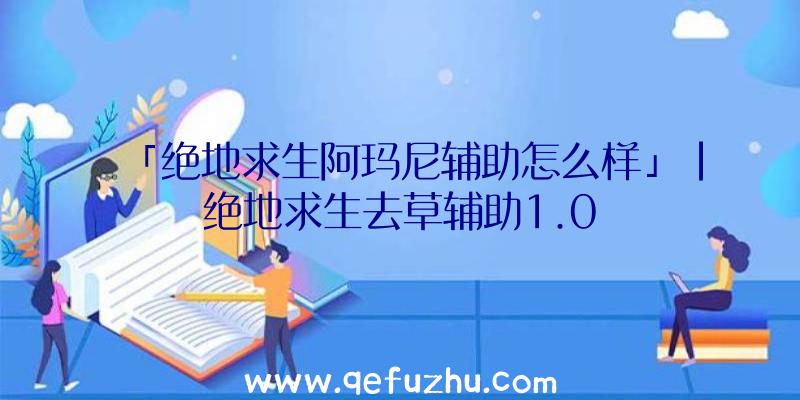 「绝地求生阿玛尼辅助怎么样」|绝地求生去草辅助1.0